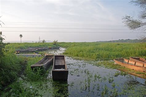 Two decades of a city lake conservation shows results but work .